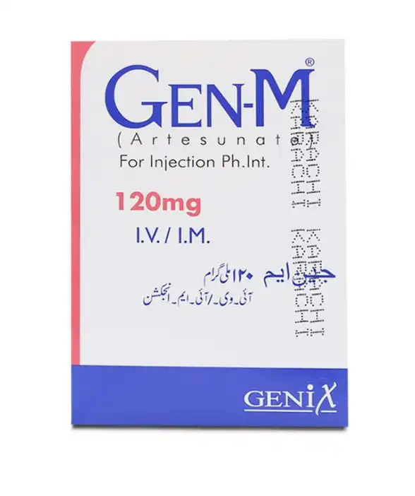 GEN-M INJ 120 MG 1'S