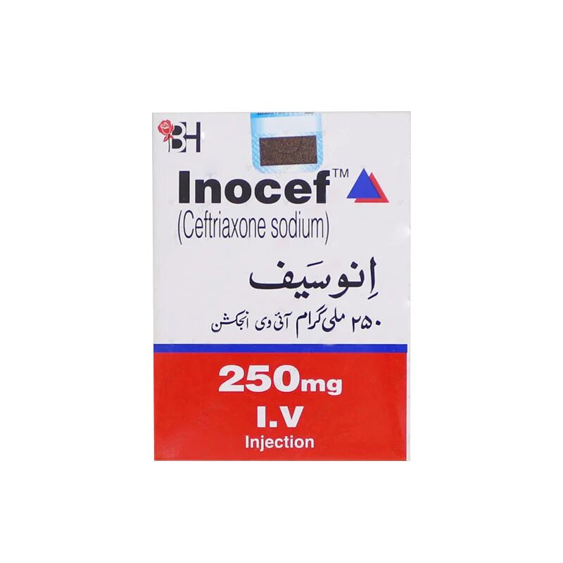 INOCEF INJ IV 250 MG 1 VIAL