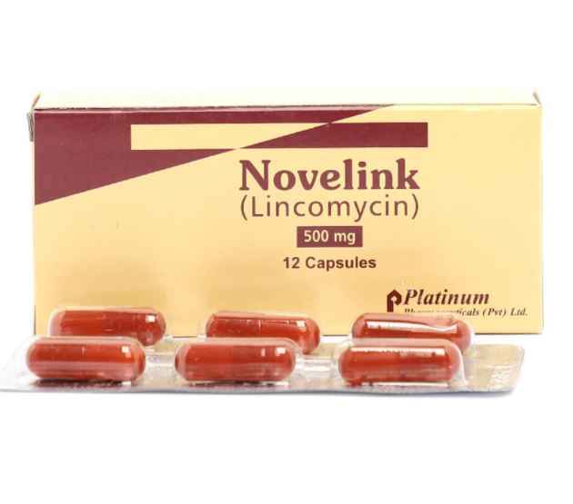 NOVELINK CAP 500 MG 2X6S