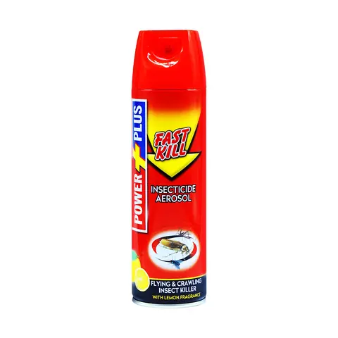 FAST KILL AEROSOL -300 ML