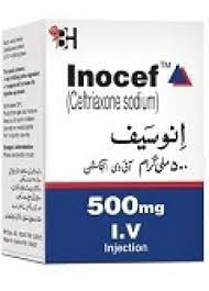 INOCEF INJ IV 500 MG 1 VIAL