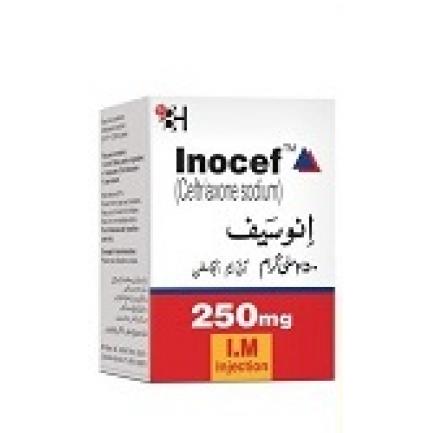 INOCEF INJ IM 250 MG 1 VIAL