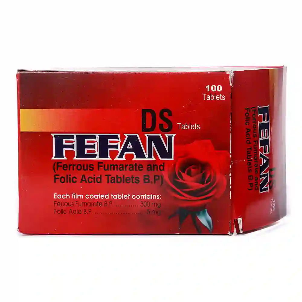 FEFAN DS TAB 100 S